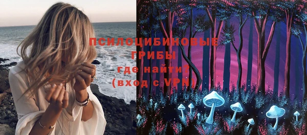 МДПВ Алзамай