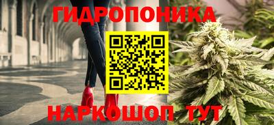 гашик Ефремов