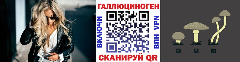 купить наркоту  Белгород  Псилоцибиновые грибы Magic Shrooms 
