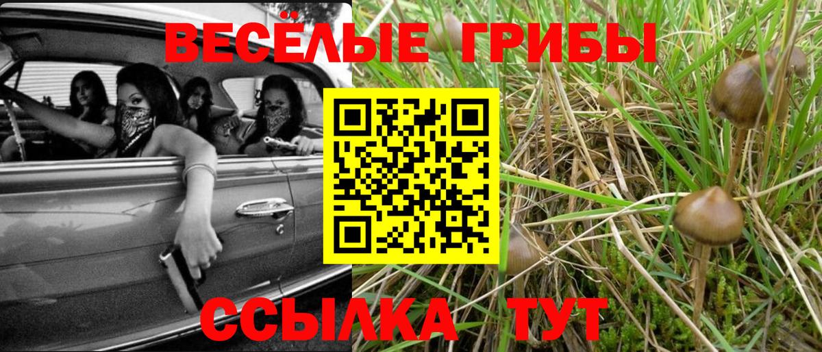 Галлюциногенные грибы мухоморы  где продают   Белгород  Галлюциногенные грибы MAGIC MUSHROOMS  Вход с VPN 